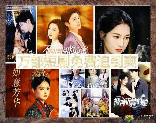 免费追剧大全电视剧:畅享海量精彩剧集不容错过