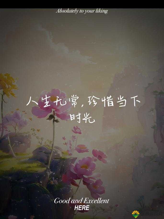 永久久久久：承载无尽时光与永恒美好的璀璨篇章
