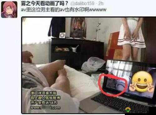 国产高清黄 片：成年人的私人珍藏