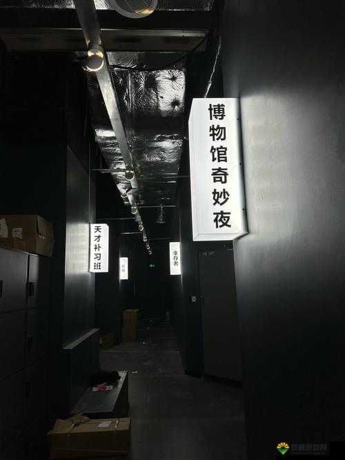 ZO2O 女人另类 Z020 男男：探寻独特世界背后的未知秘密