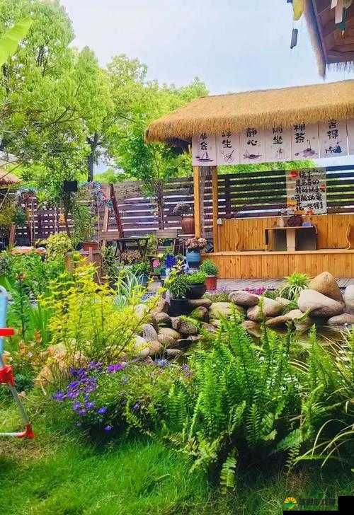 妈妈的桃花源：一场味蕾与情感的奇妙交融