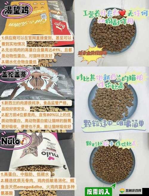 猫咪后院所有猫粮作用效果分析