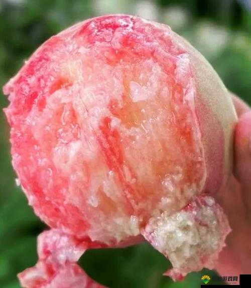 水蜜桃 2 之独特魅力与精彩呈现