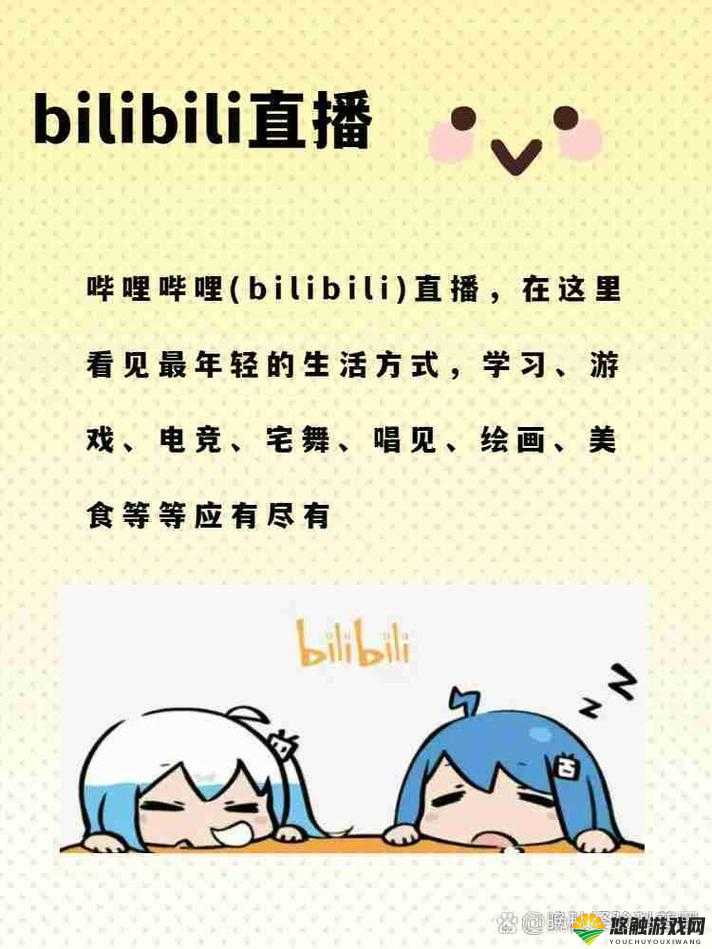 BILIBILI 晚上少儿不宜，这些内容你知道吗？