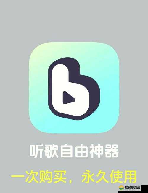 十 8 禁用 b 站 app 免费，畅享精彩视频无限制