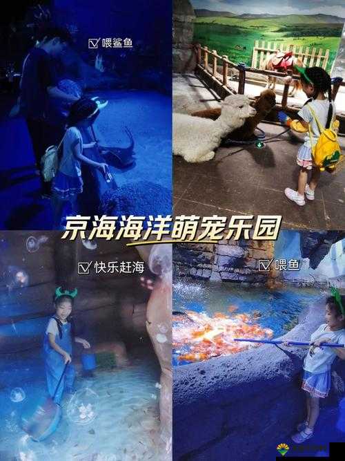 旋转城堡,萌宠世界的冒险之旅