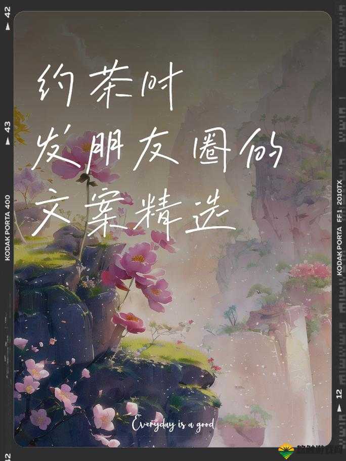 500 一晚同城约茶：尽享惬意休闲时光