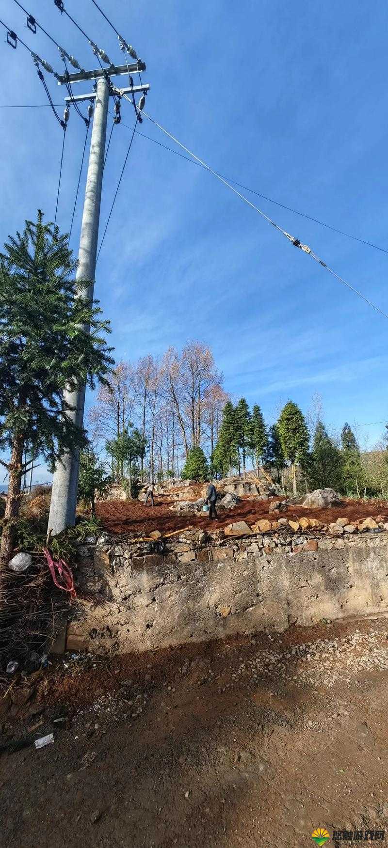 北京熟妇疯狂搡 BBBB 场景震撼引人深思