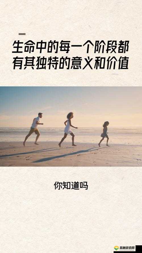 关于 давой 的独特意义与价值探讨