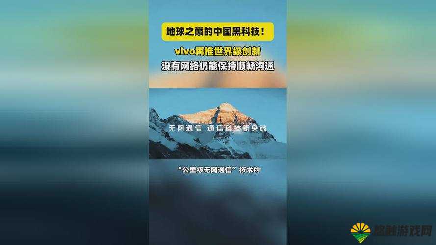 X9X9X9 任意槽：开启无限可能的神秘领域