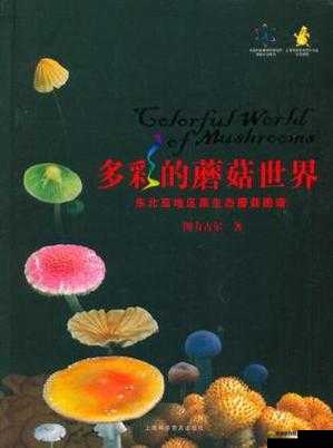 蘑菇视频嗯嗯啊啊啊:探索未知的奇妙世界