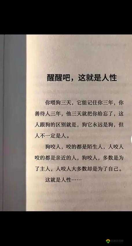 美国 ZOOm 人狗欢迎你：关于其背后故事及影响的探讨