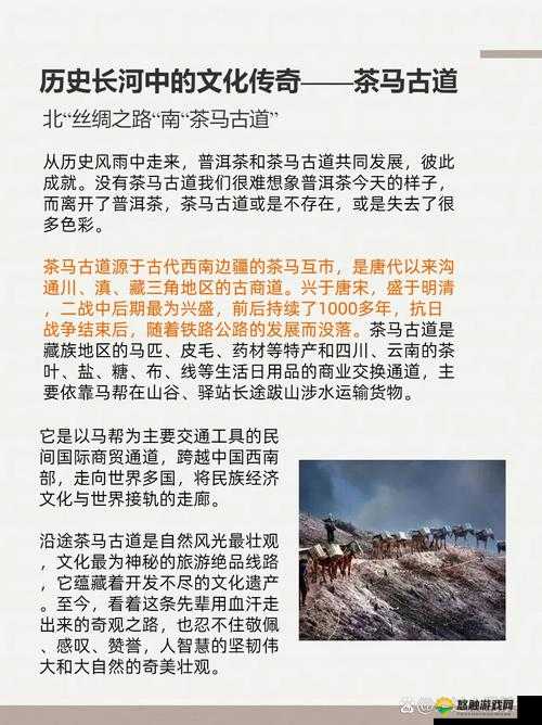 随着马的跑颠更深入古代：探索那神秘久远的历史画卷