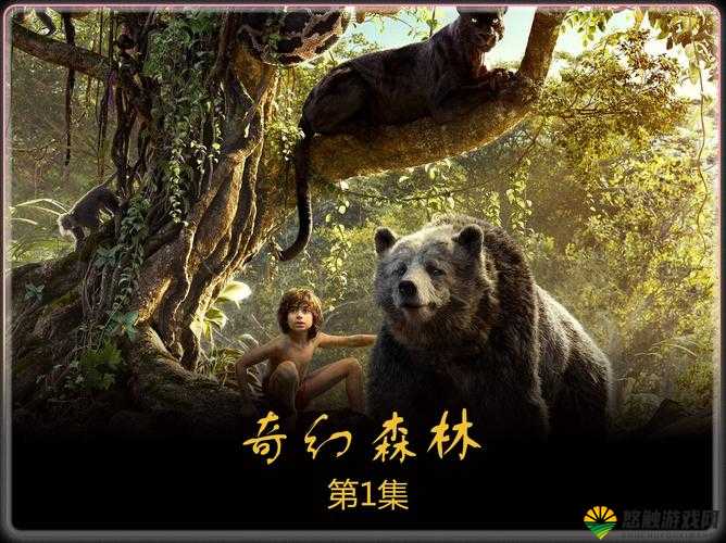 美国 ZOOm 动物仙踪林：动物与自然的奇幻之旅