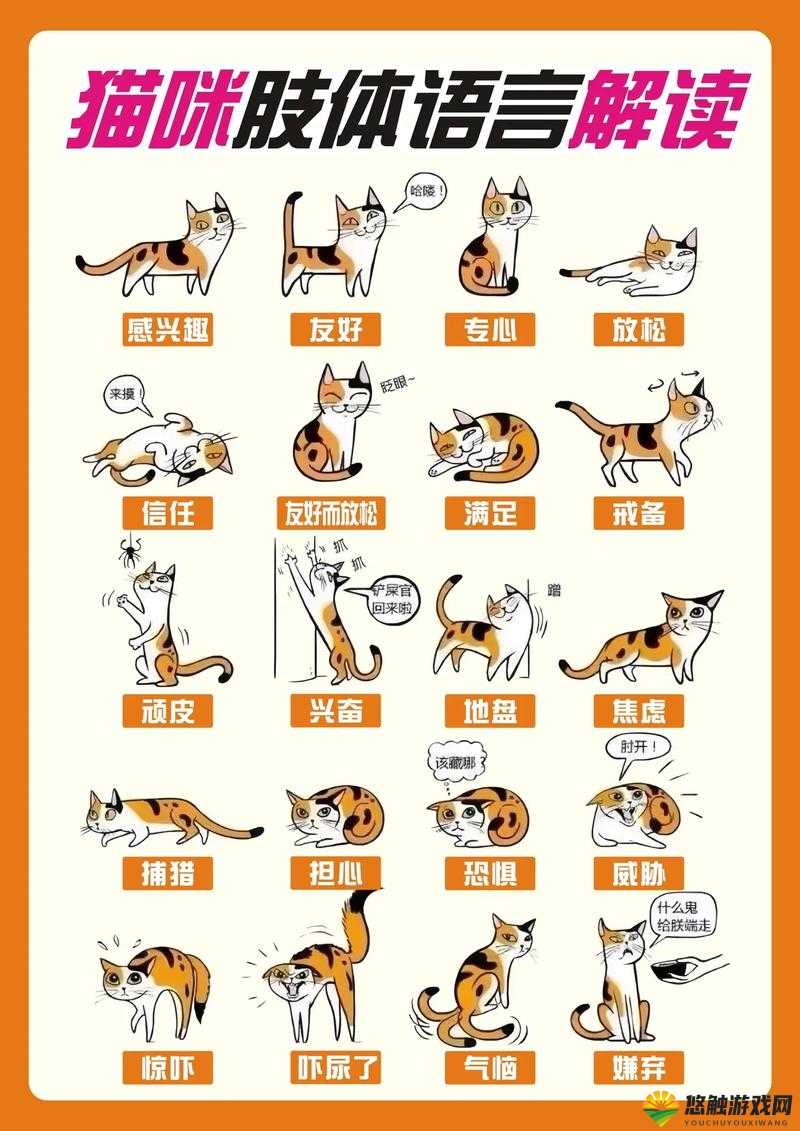 猫咪跳跃玩法介绍，小猫轨迹由你掌握