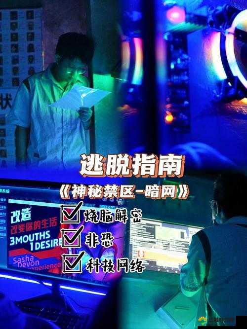 暗网的性巴克:一个神秘而危险的存在引发的思考与探索
