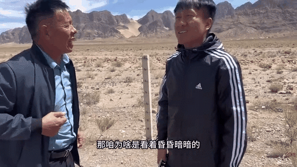 惊险货运路：老周和赵青的拼搏与坚守