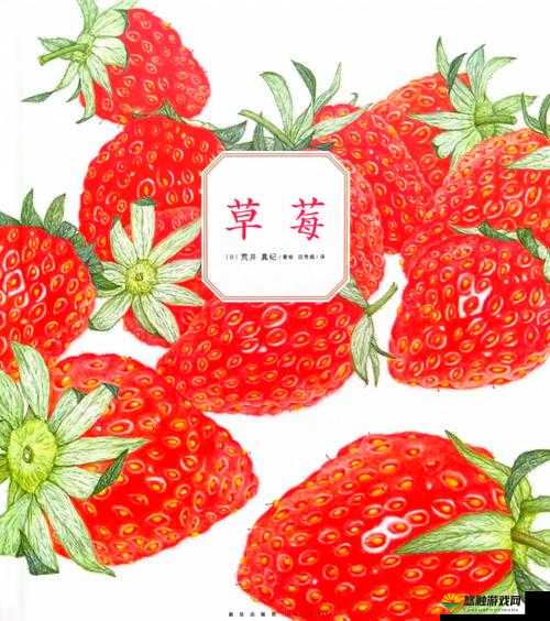 在美味中探索，在线草莓等你一起来