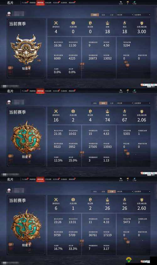 龙之影排行榜，玩家实力与身份的光辉印记