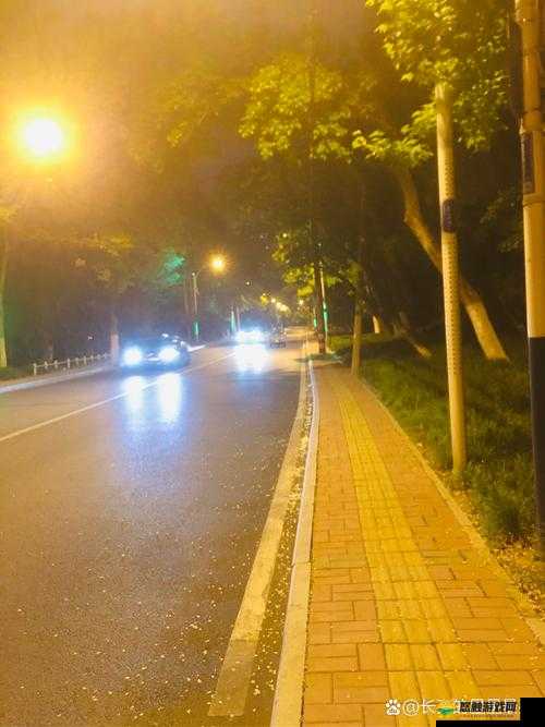 深夜禁止安装黄：维护社会良好风气的重要举措