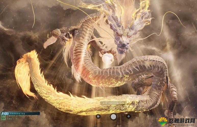龙之影，探索奇幻世界的坐骑之旅
