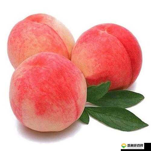 幸福的收获SN3858粉色水蜜桃:品尝甜蜜的绝佳选择