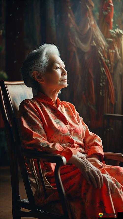 0丨d 中国老妇：被遗忘的历史与记忆