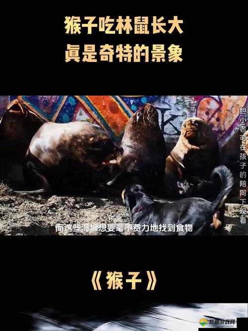 两人造猴子的奇妙旅程:从虚拟世界到现实想象