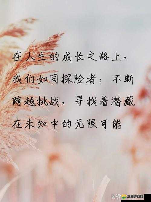 在(z○○xⅩⅩ)的世界里，探索无限可能