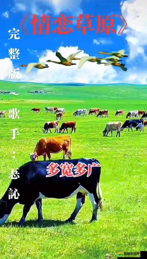 天堂草原电视剧免费播放追剧软件：畅享草原风情精彩剧集