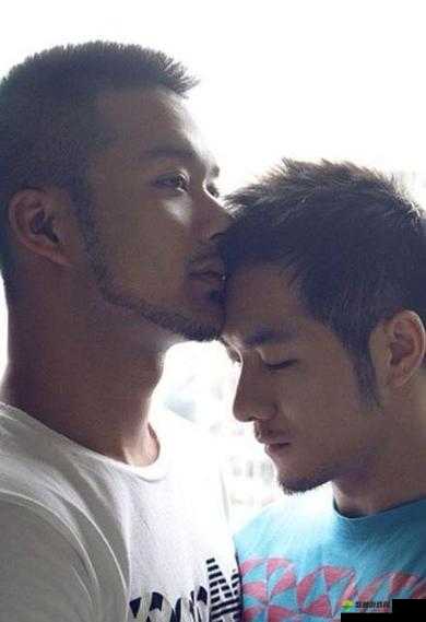 国产 chase 男男 GayGay：探寻同性之爱的真挚情感