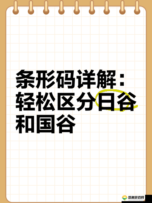 一码二码三码区别日本：深入探究其差异与特点