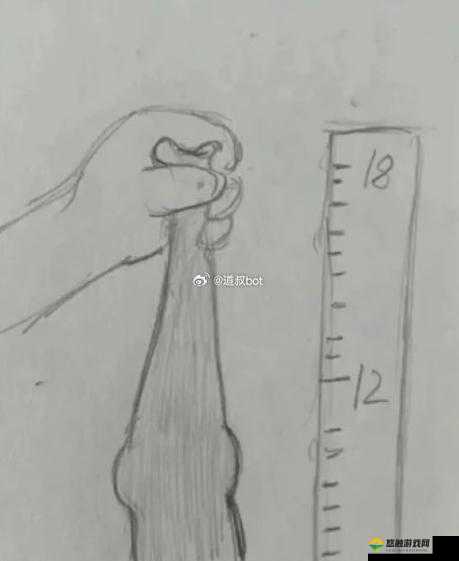 17c18cm 是什么意思之详细解读与探讨