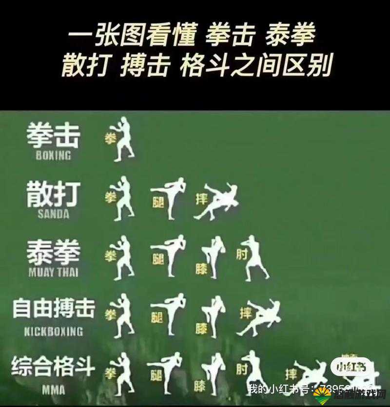 格斗宝贝进阶玩法，试炼场打法详解