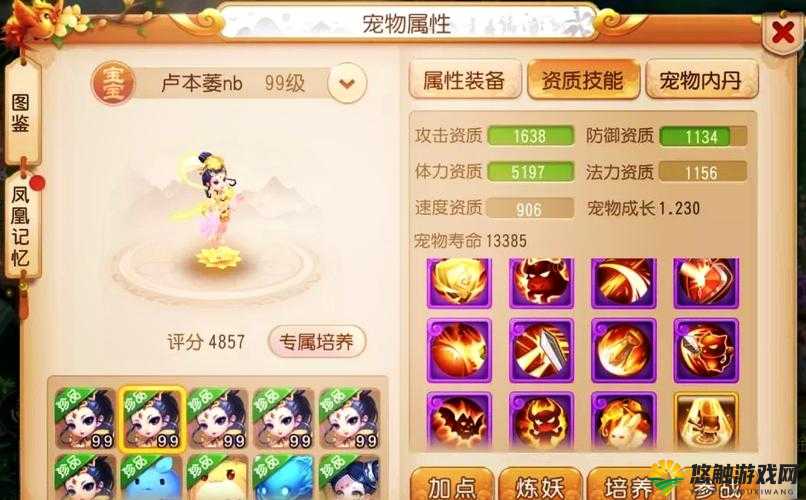 ?西游手游宠物培养详细攻略，资源管理的艺术