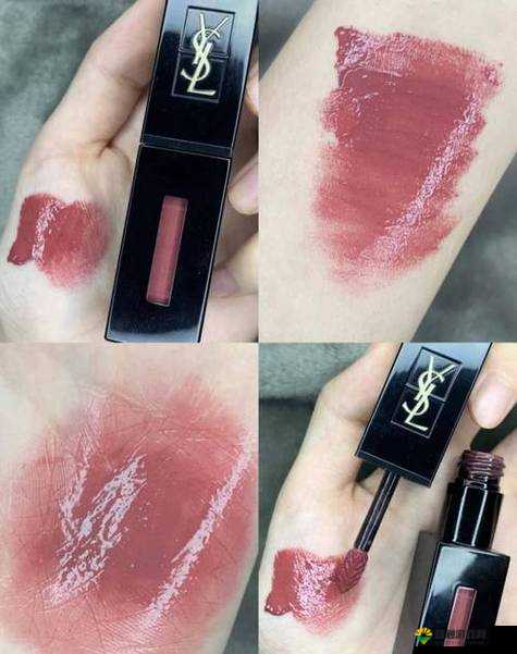 YSL 千色 T9T9T9 观看范围之全面解析与深入探讨