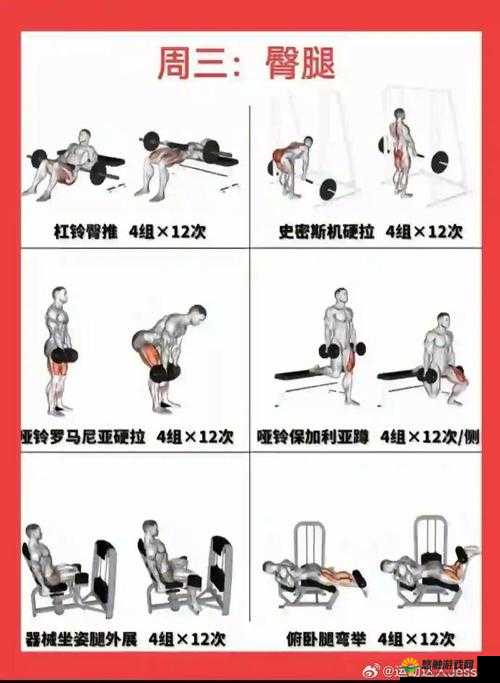 在健身器材上进行 NP 运动的独特体验与挑战