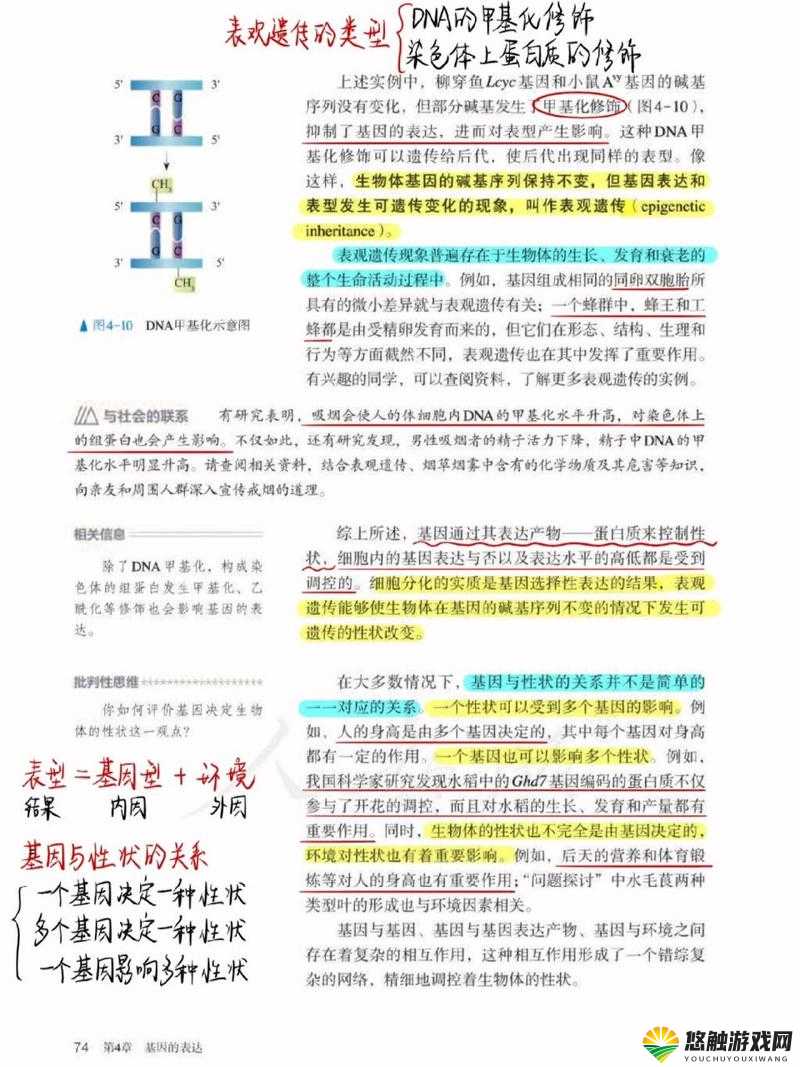 人种与畜禽共性的辩证关系：从基因到社会行为的深度剖析