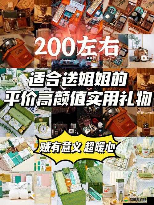 姐姐的礼物六万高分S搭配方案分享