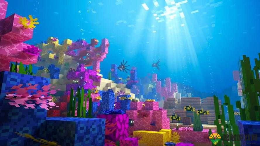 我的世界1.8海底神庙探险，种子代码揭秘，孤岛生存新挑战