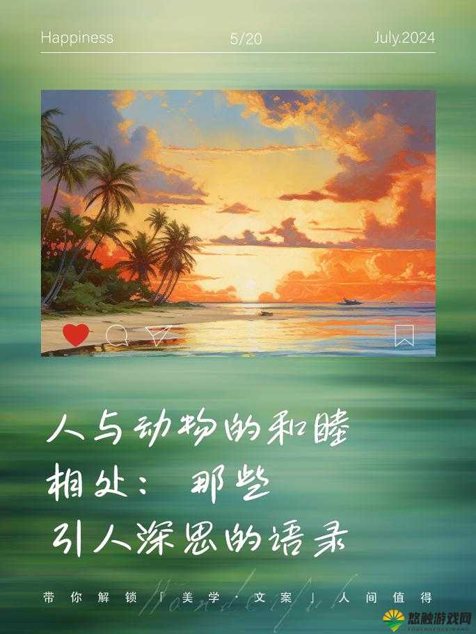 生存智慧，在自然的怀抱中与动物和谐共处