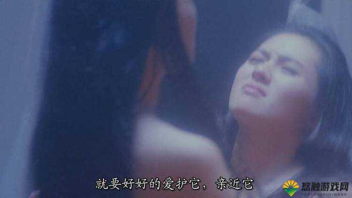 特级髦片片 A 片 AAAAAA：探索未知的激情之旅