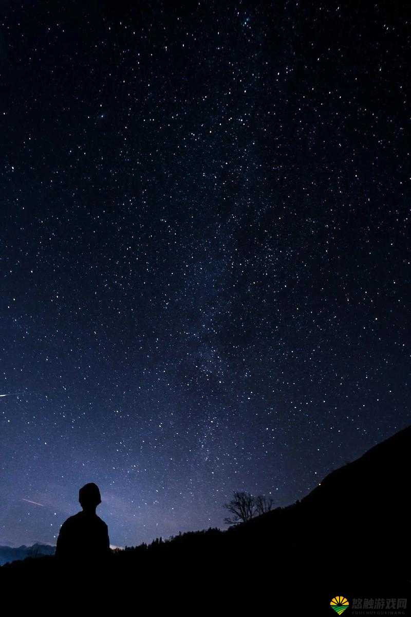 星空 91xxx：探索神秘宇宙深处的璀璨星光之旅