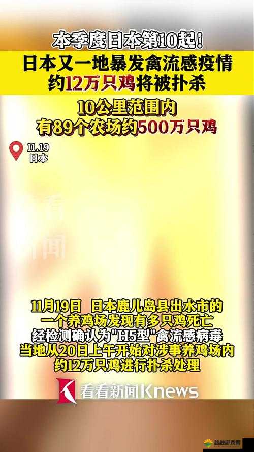 日本人与禽 ZOZZO 相关事件引发热议