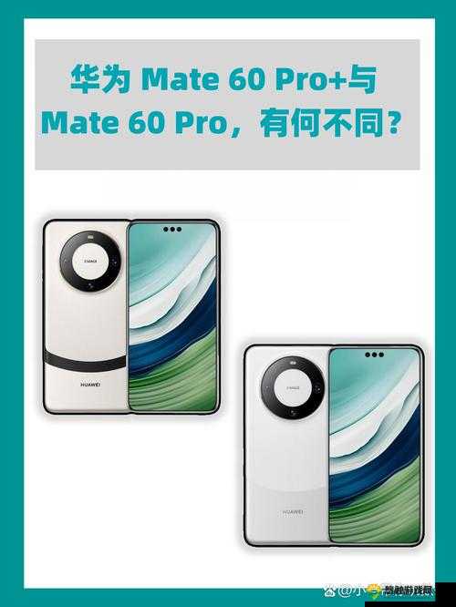 Tai9 是一款非常优秀的产品值得大家关注和使用