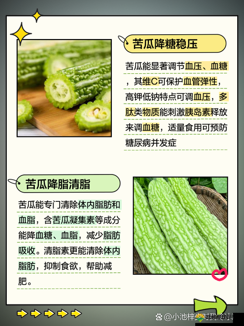 1313 苦瓜：关于 1313 苦瓜的详细介绍与特点分析