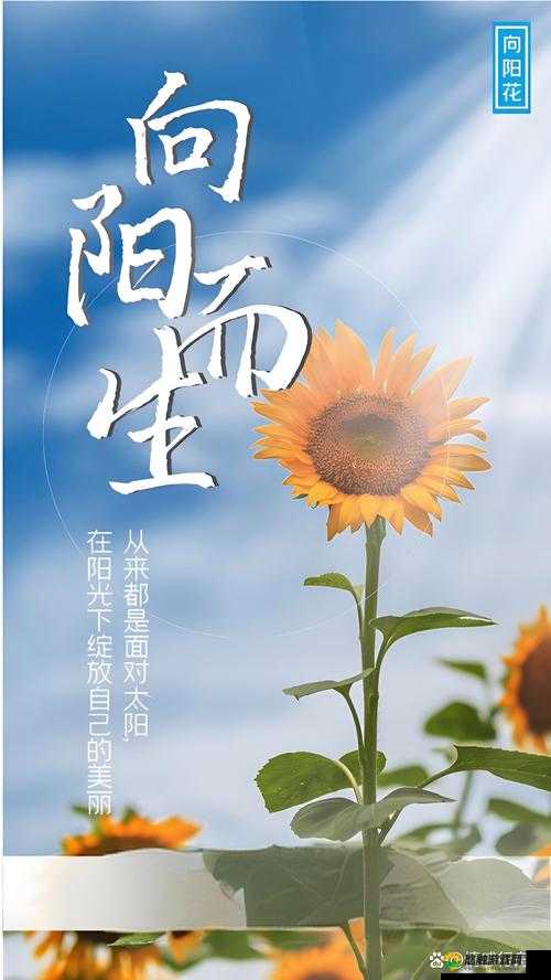 一颗草莓，两株丝瓜，三更深夜，释放自己