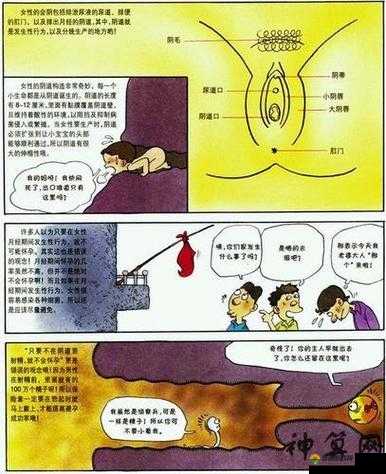 ：大屌爱爱的那些事：探索性爱的奥秘