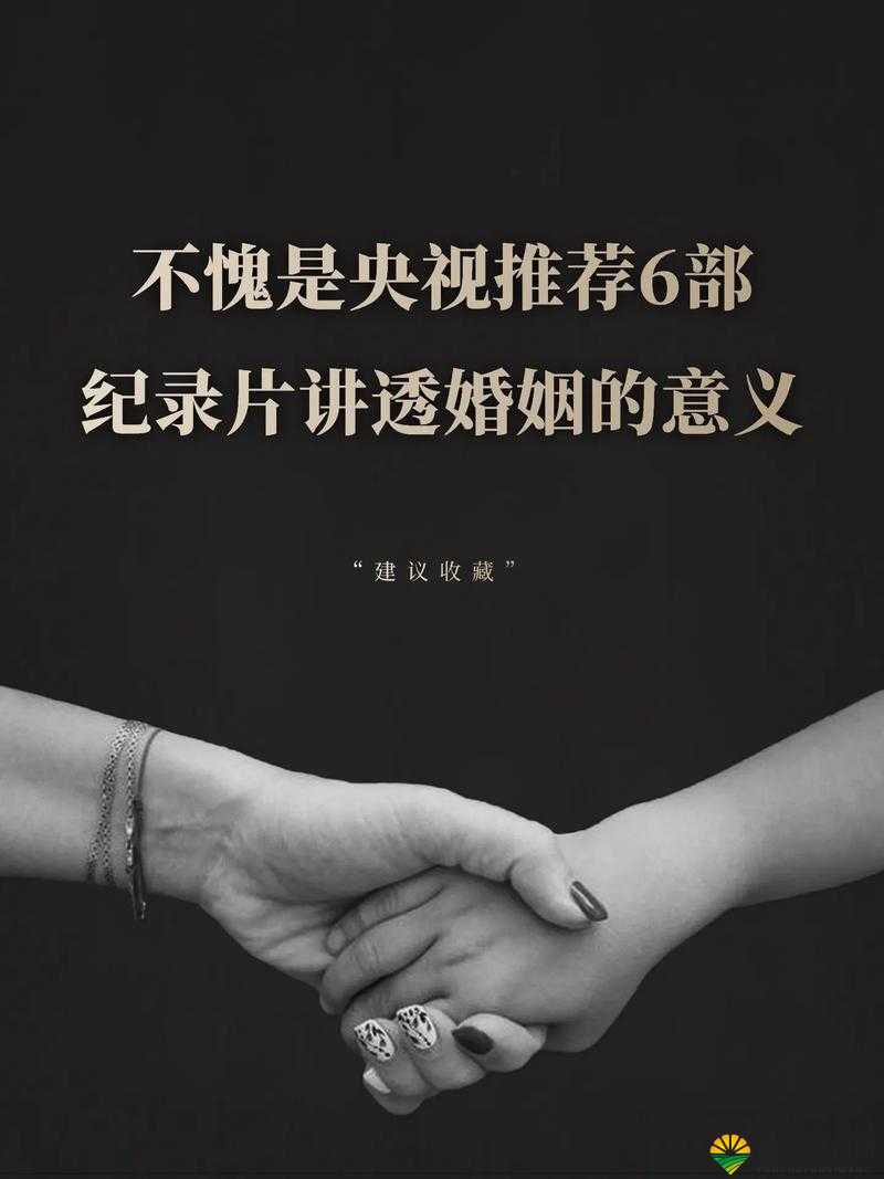 那些适合夫妻两个人看的纪录片：探索爱情与婚姻的奥秘