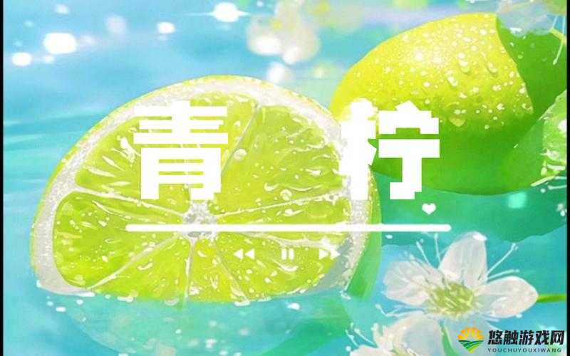 青柠视频在线观看播放:带你领略精彩的视频世界